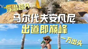 Télécharger la video: 马尔代夫安凡尼出道即巅峰！一万出头💰就能享受一价全包🤩 浮潜超A绝！这样还不赶紧冲？