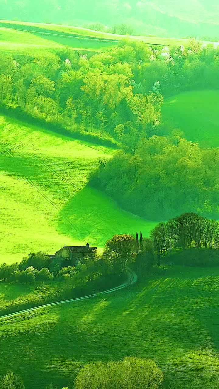 百媚绿色,阳光正好,看到这景色,心情忽然开朗起来了吧?