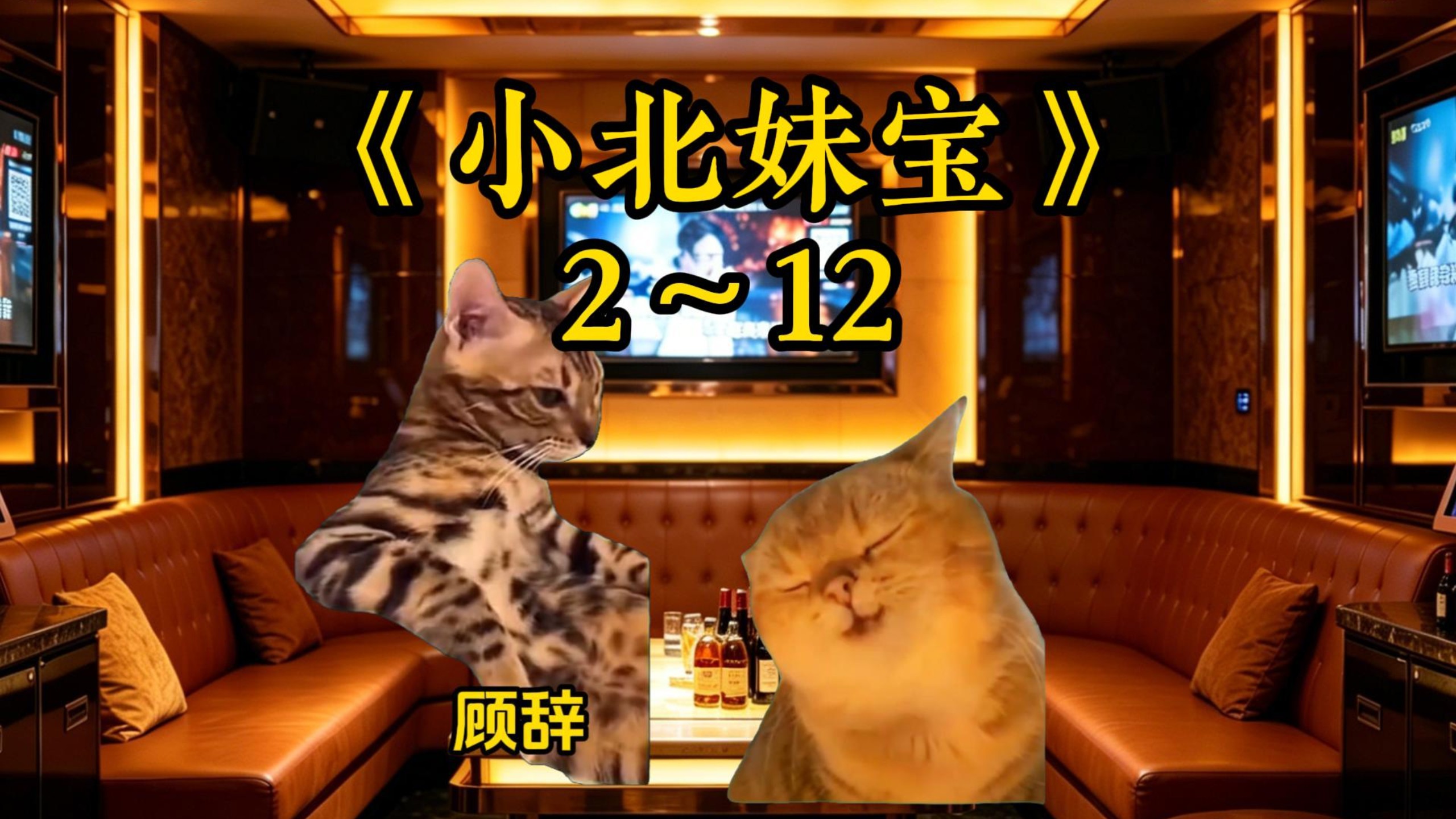 《小北妹宝》2～12