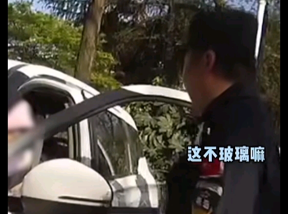 一女车主报警称车玻璃被盗,民警一键找回~有时候警察叔叔也想求助一下哔哩哔哩bilibili