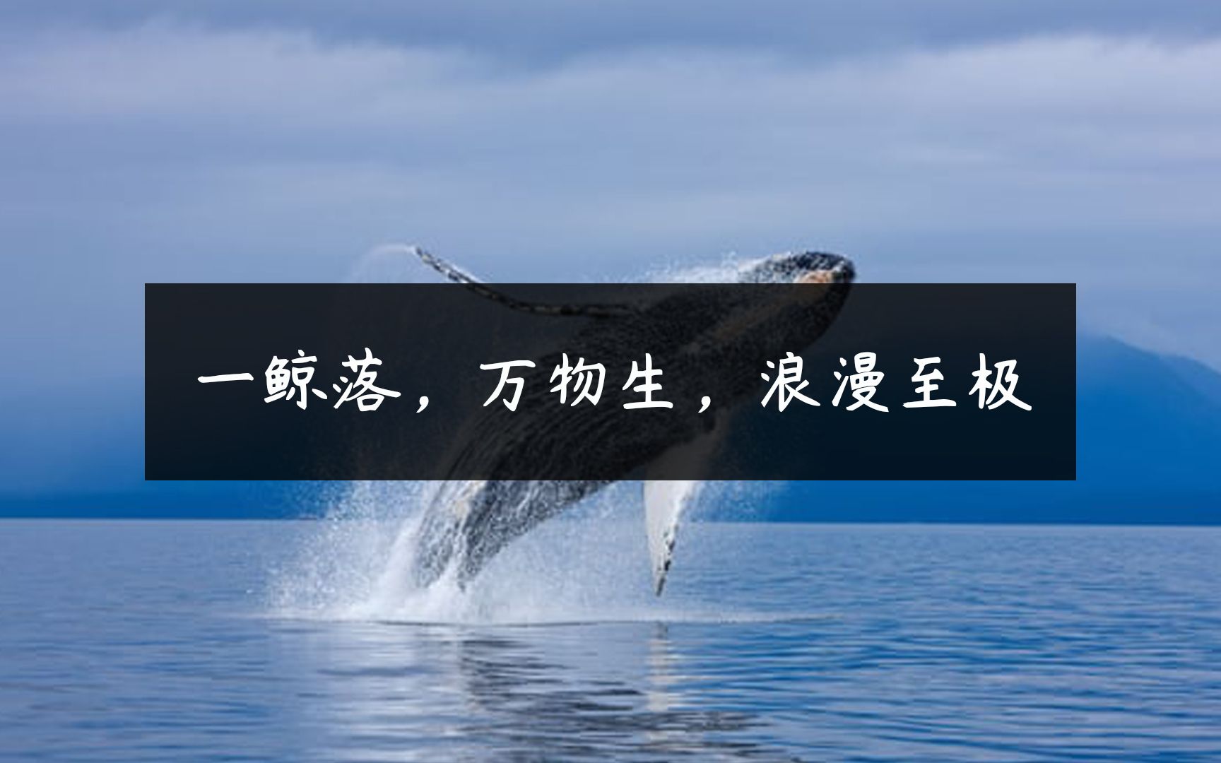 浪漫至极的重生一鲸落万物生看完后你感动吗