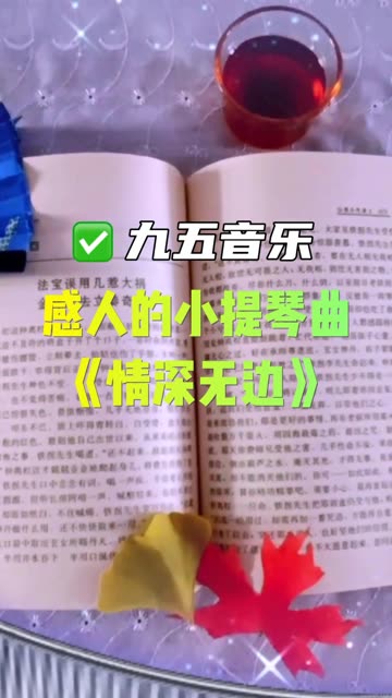 感人的小提琴曲《情深无边》,优美抒情的旋律,诉说着缱绻柔情