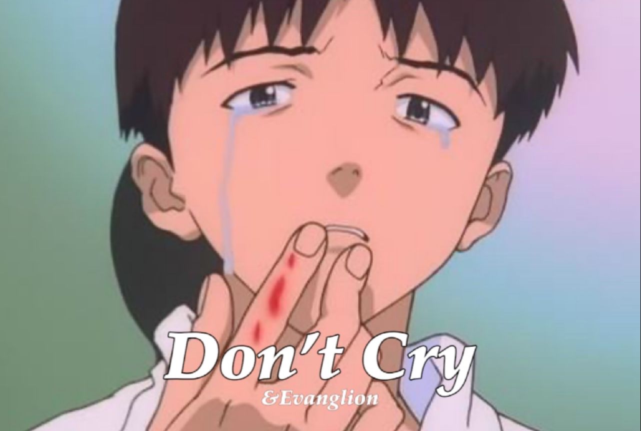 [图]【EVA×枪花】Don’t you cry tonight/今夜请你不要哭泣