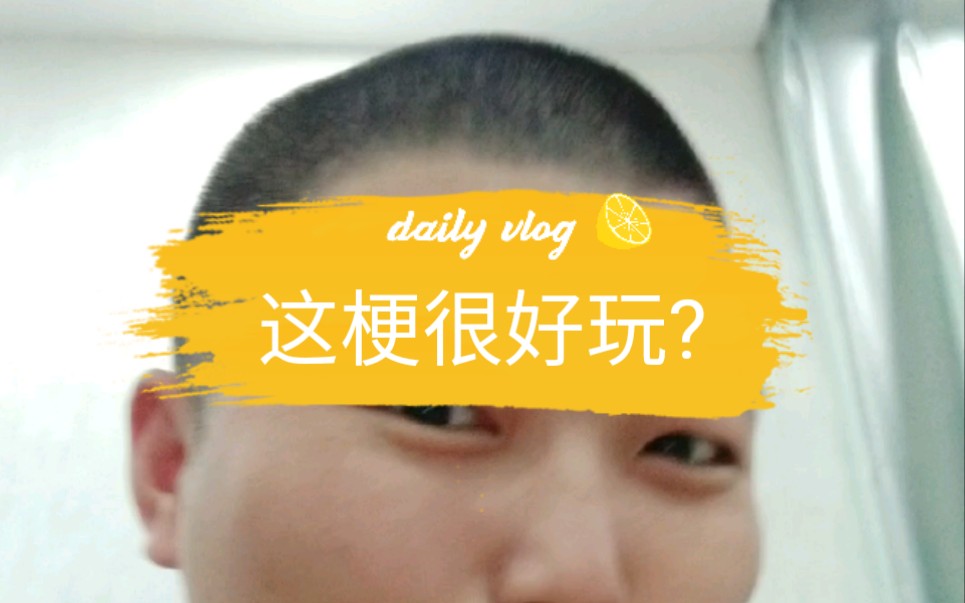 diss秋茶,这什么梗,好玩吗哔哩哔哩bilibili