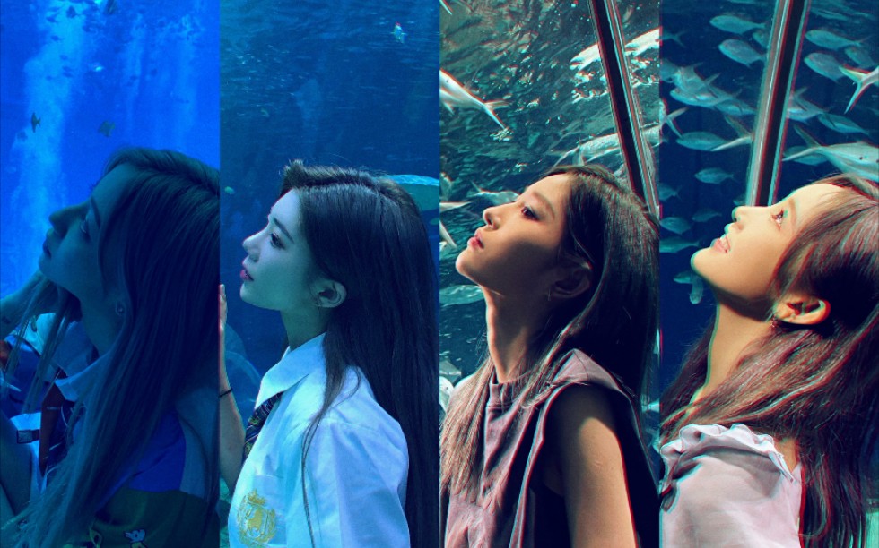 【黑喵】【诗情画奕】不同时间遇见的人,结局怎么会一样