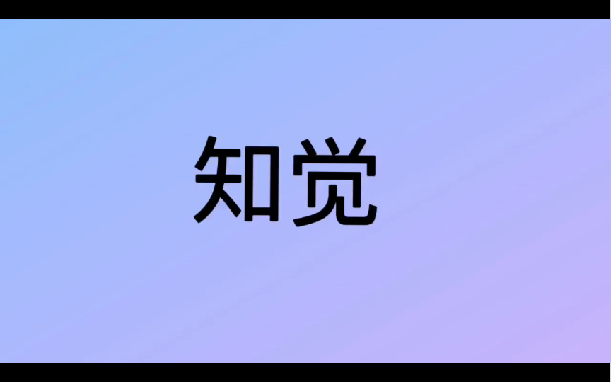 哲学词条|第80条|总类|什么是知觉?哔哩哔哩bilibili