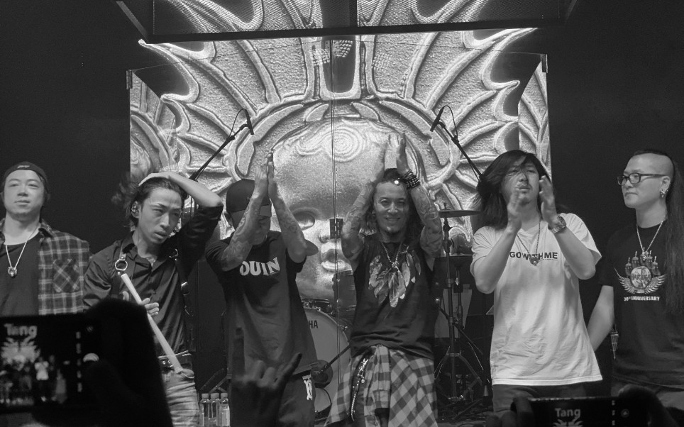 正在现场面孔乐队幻觉