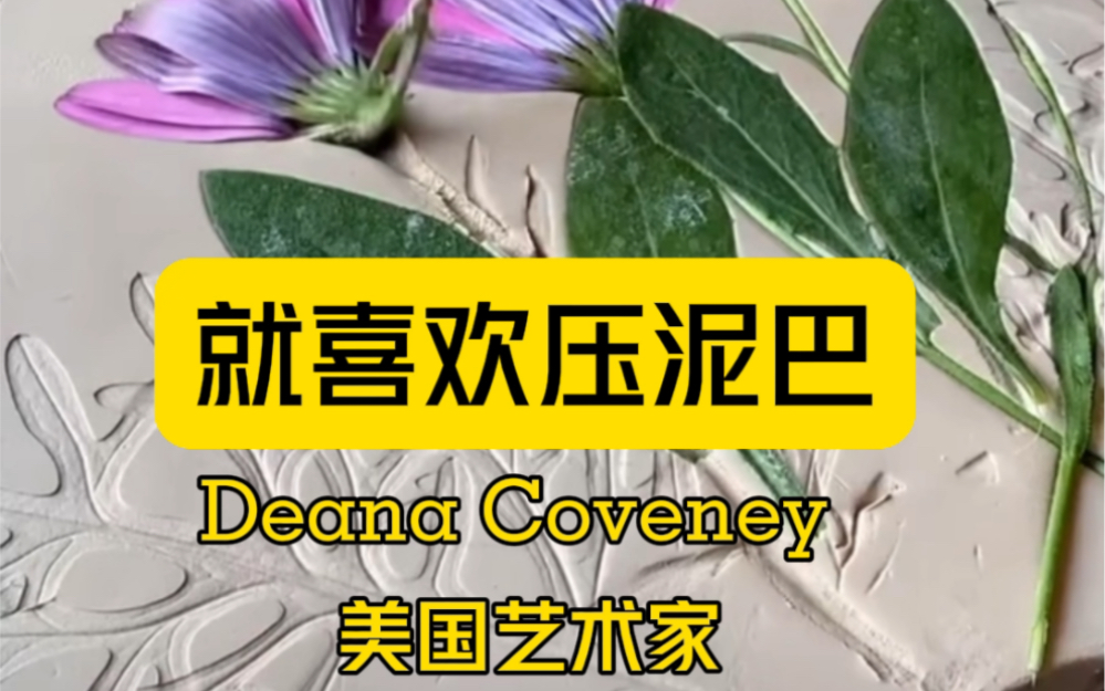 就喜欢压泥巴 Deana Coveney 美国艺术家哔哩哔哩bilibili