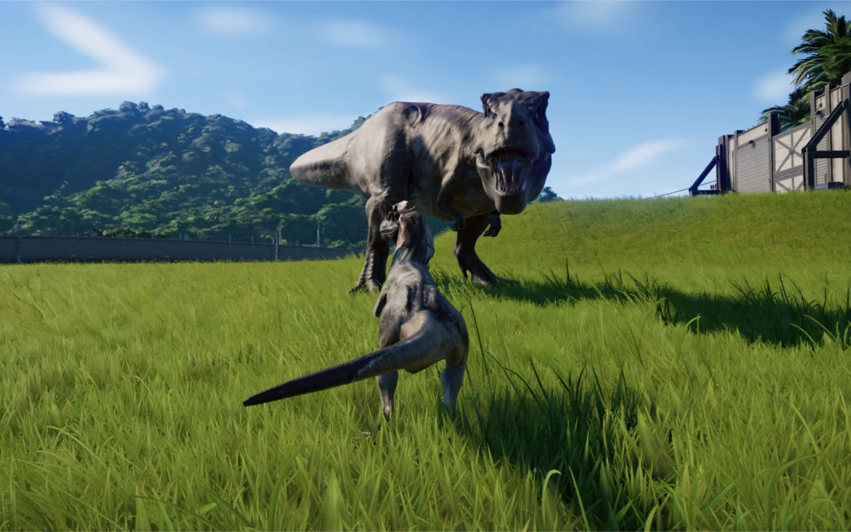 个头虽小,但战斗力彪悍,胆大的双脊龙!