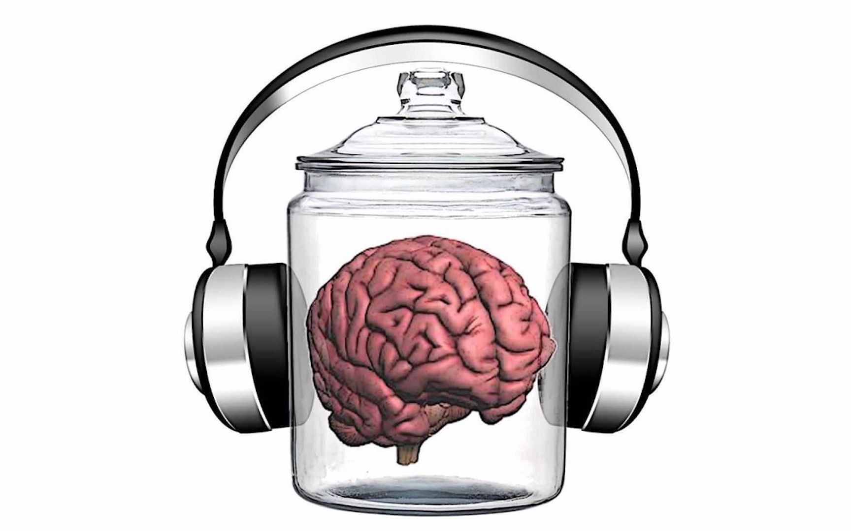 聊一聊缸中之脑