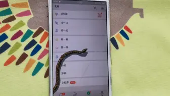 教你在手机养条巨蟒！朋友见了，都说好吓人