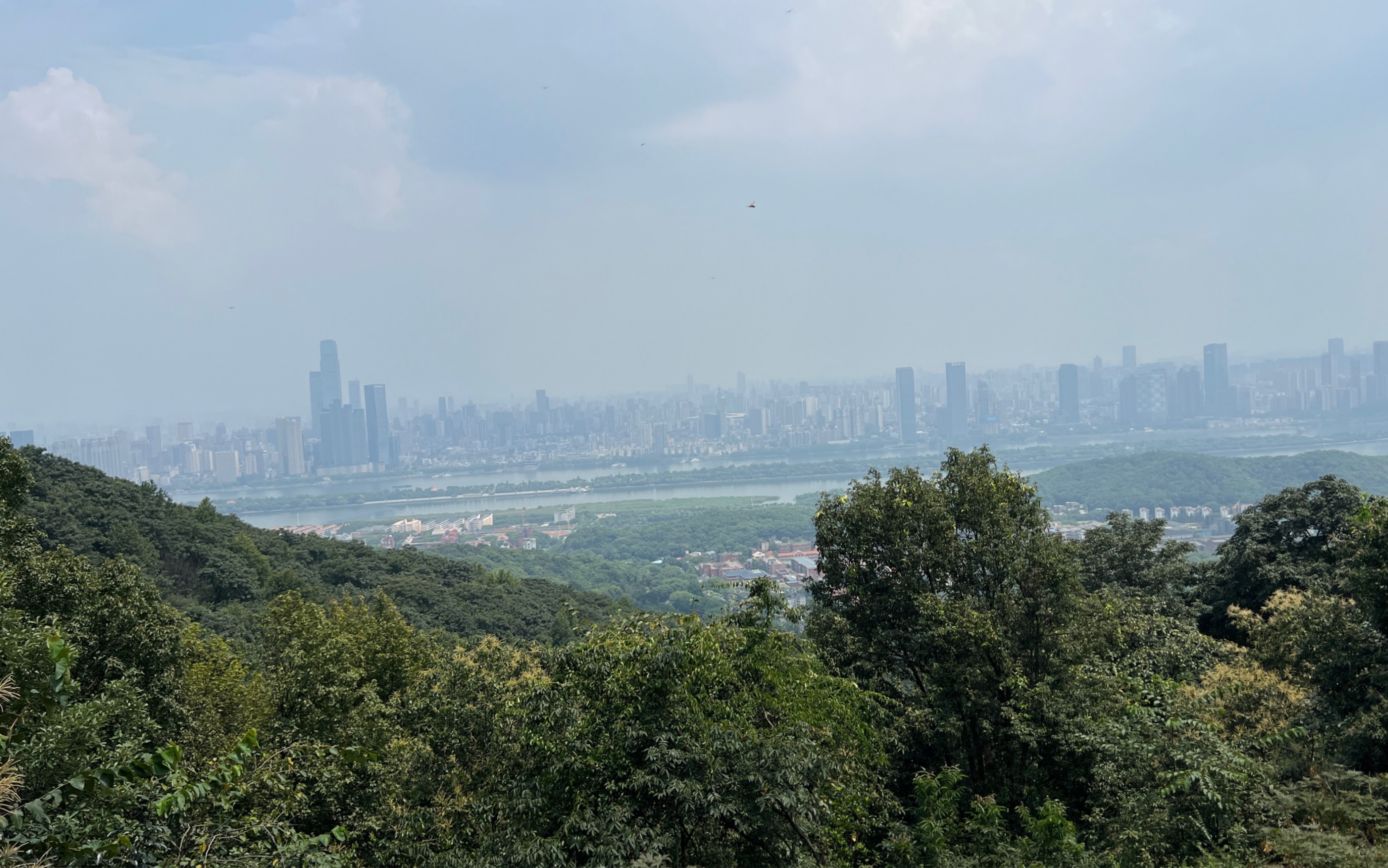 岳麓山山顶风景图片