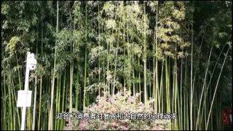 Download Video: 什么是水洗棉，水洗棉有几种？水洗棉四件套