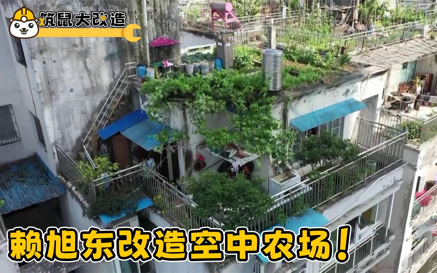奇葩老爹在儿子窗外堆肥?赖旭东改造空中农场!