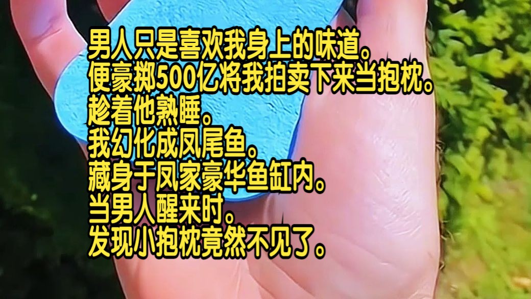 男人只是喜欢我身上的味道,便豪掷500亿将我拍卖下来当抱枕.趁着他熟睡,我幻化成凤尾鱼,藏身于凤家豪华鱼缸内.当男人醒来时,发现小抱枕竟然不...