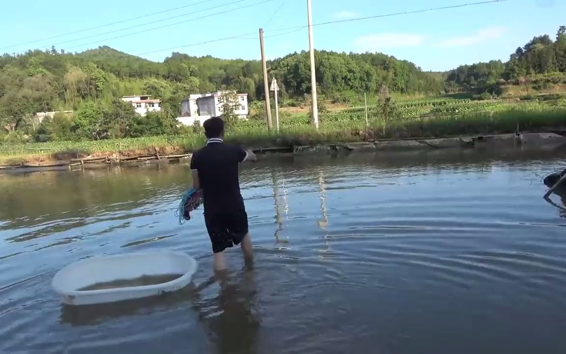 老人在魚塘養了70條草魚,小夥盲估包下,水乾後笑了