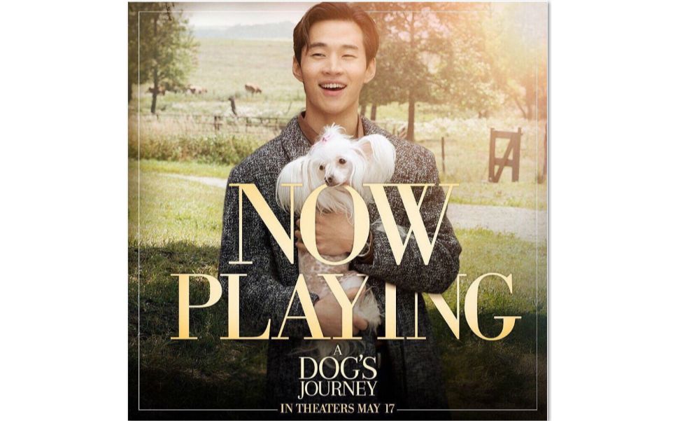 fancamhenry刘宪华一条狗的使命2洛杉矶首映现场采访合集20190506