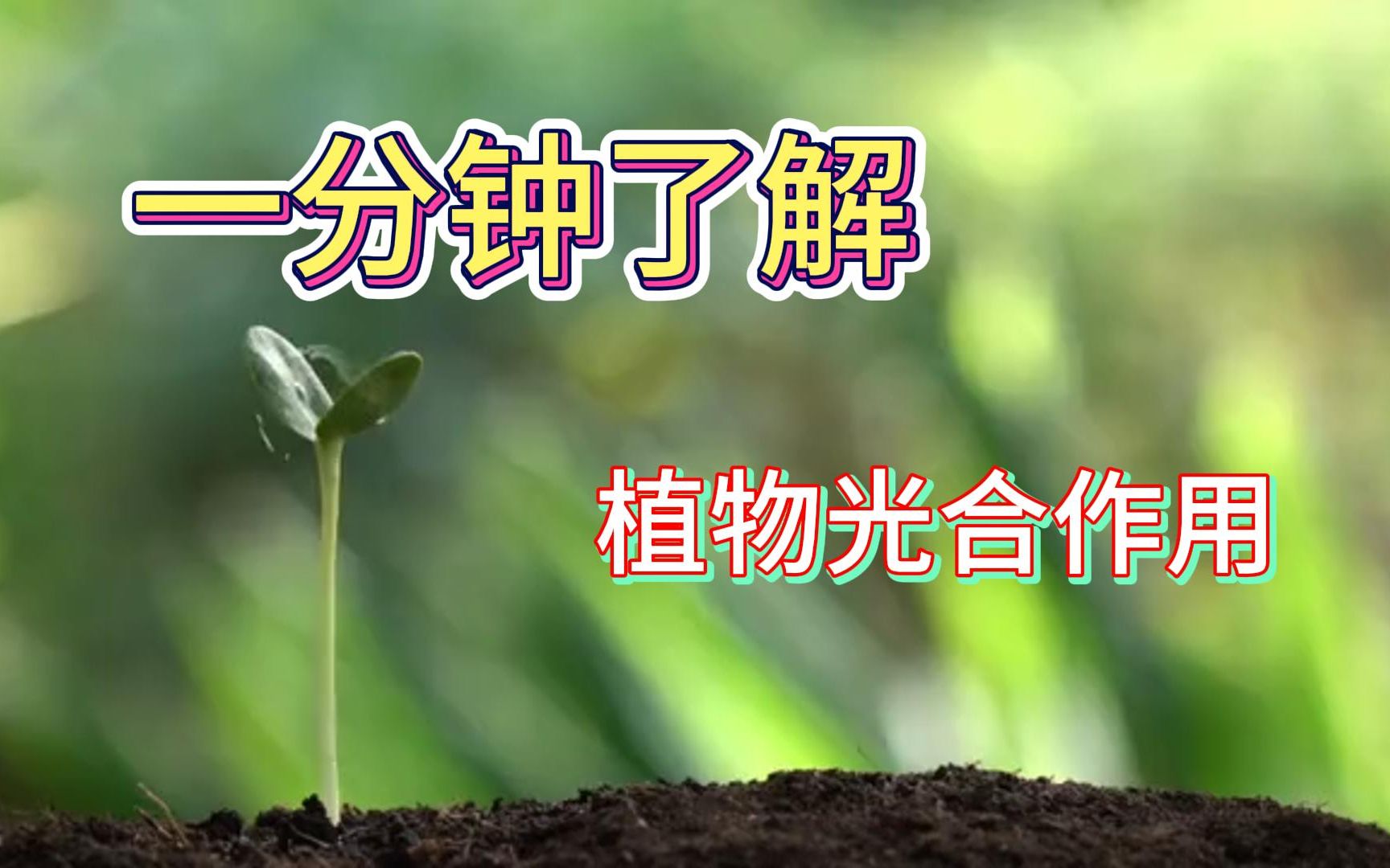 [图]一分钟了解什么是植物光合作用