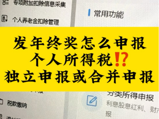 发放年终奖怎么申报个人所得税?独立申报还是合并申报?哔哩哔哩bilibili