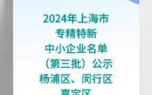 2024年上海市专精特新中小企业名单(第三批)公示杨浦区、闵行区、嘉定区哔哩哔哩bilibili