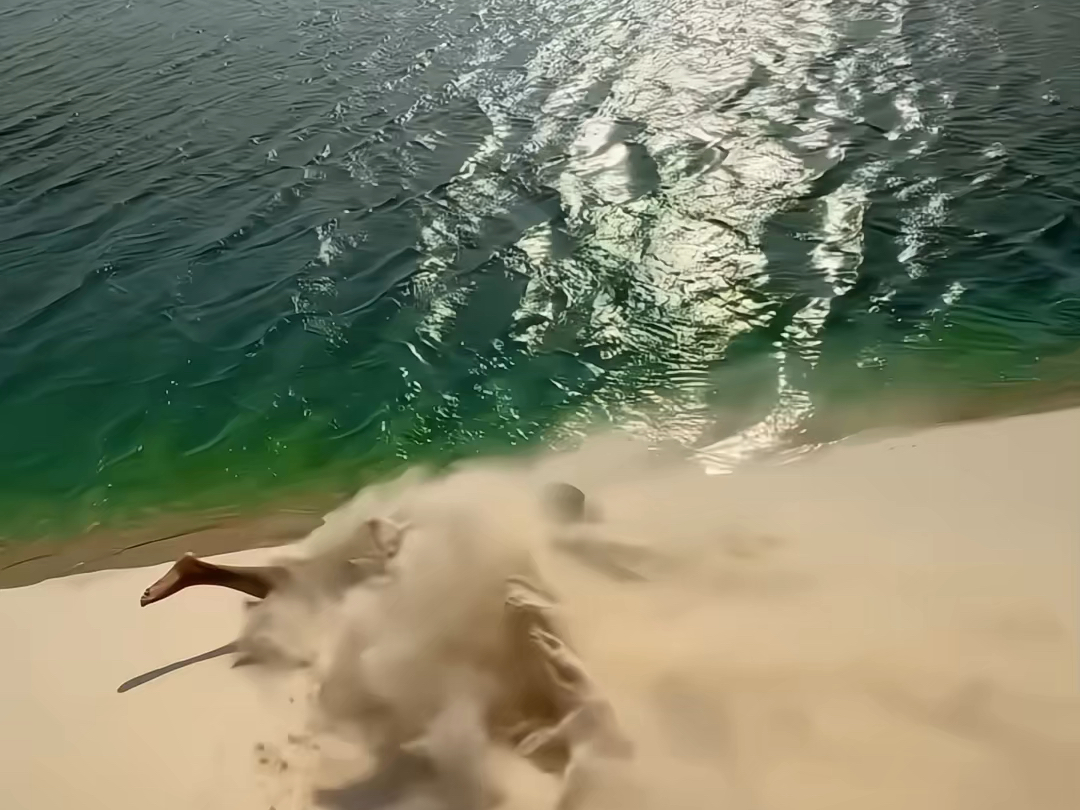 你听说过水比沙子还要多的沙漠吗 太神奇了!#旅行大玩家 #千湖沙漠 #来一场沙漠之旅哔哩哔哩bilibili