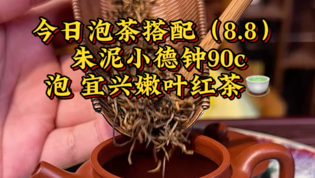 今日泡茶搭配～8.8：朱泥小德钟90cc配宜兴嫩叶红茶，主打一泡一杯一人饮。