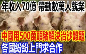 Download Video: 年收入70亿，带动数万人就业，中国竟用500万头猪解决治沙难题，各国纷纷上门求合作