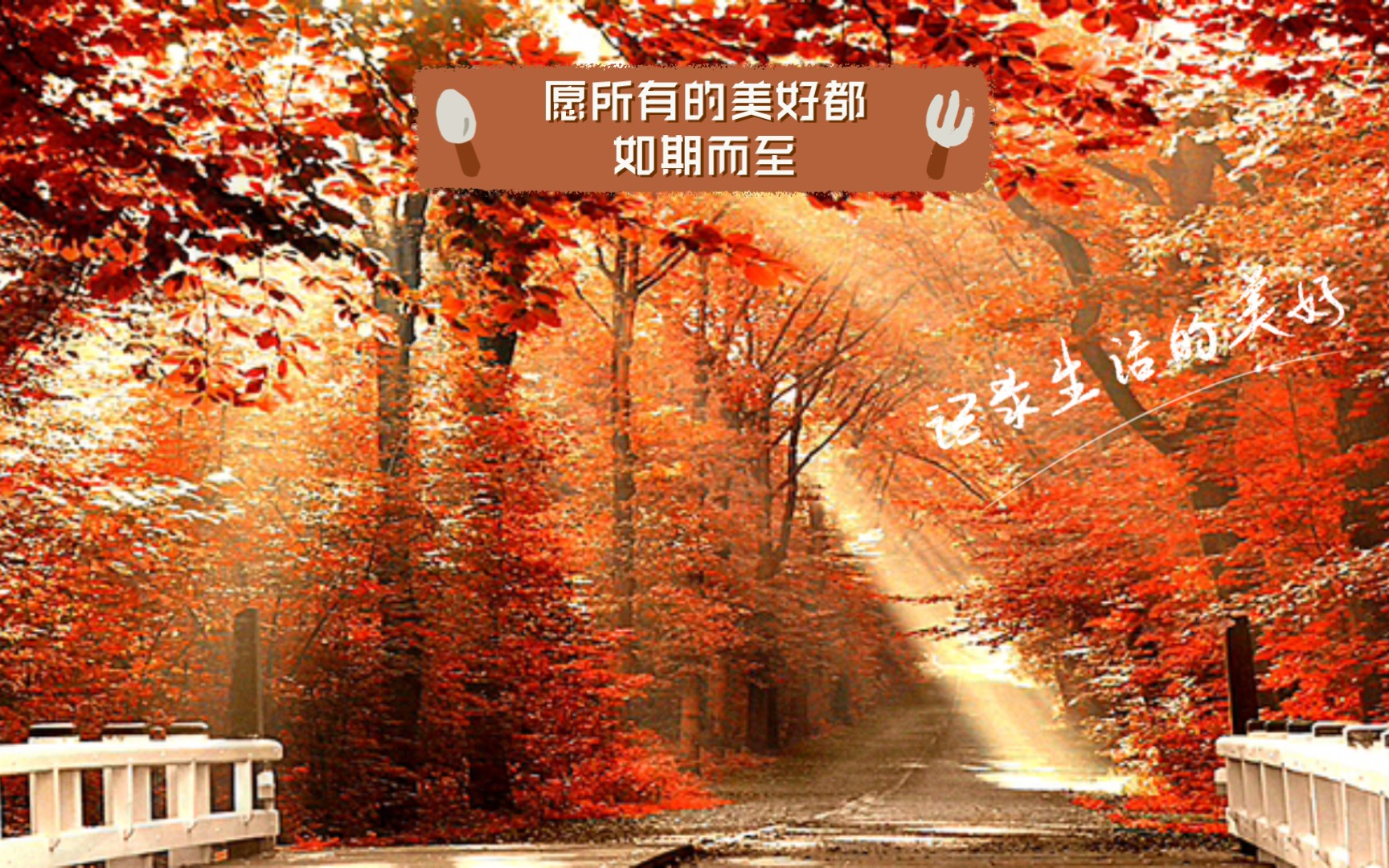 愿所有的美好都如期而至