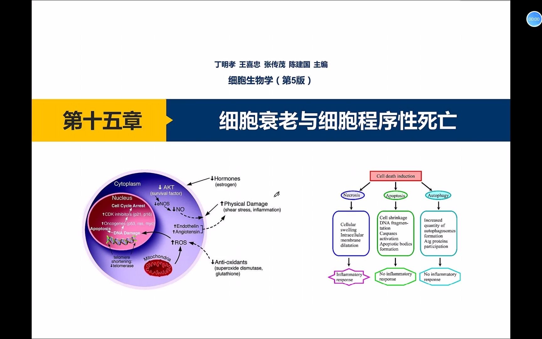 【细胞生物学】《细胞衰老与细胞程序性死亡》讲课哔哩哔哩bilibili