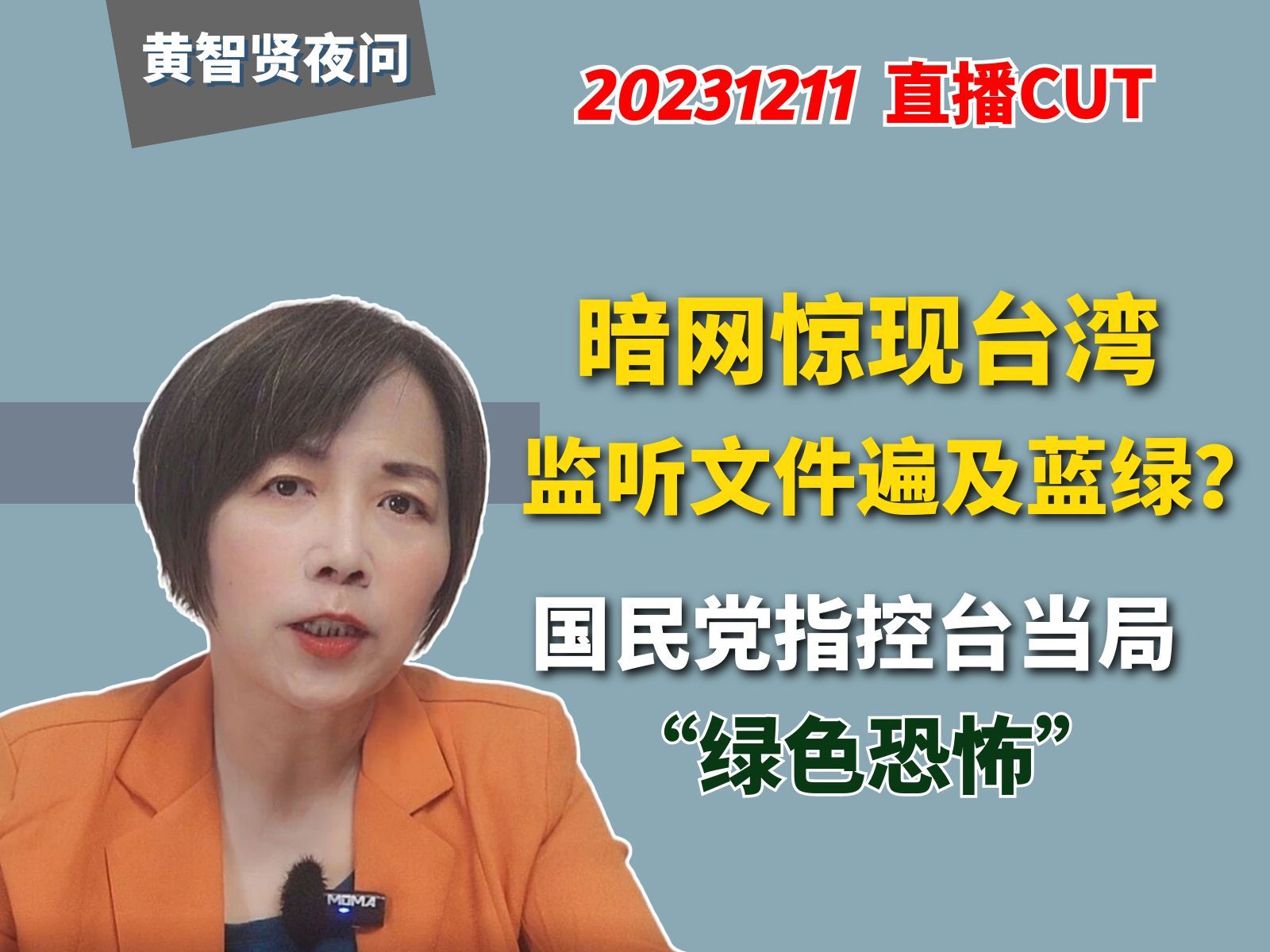 暗网惊现台湾监听文件遍及蓝绿?国民党指控台当局“绿色恐怖”哔哩哔哩bilibili