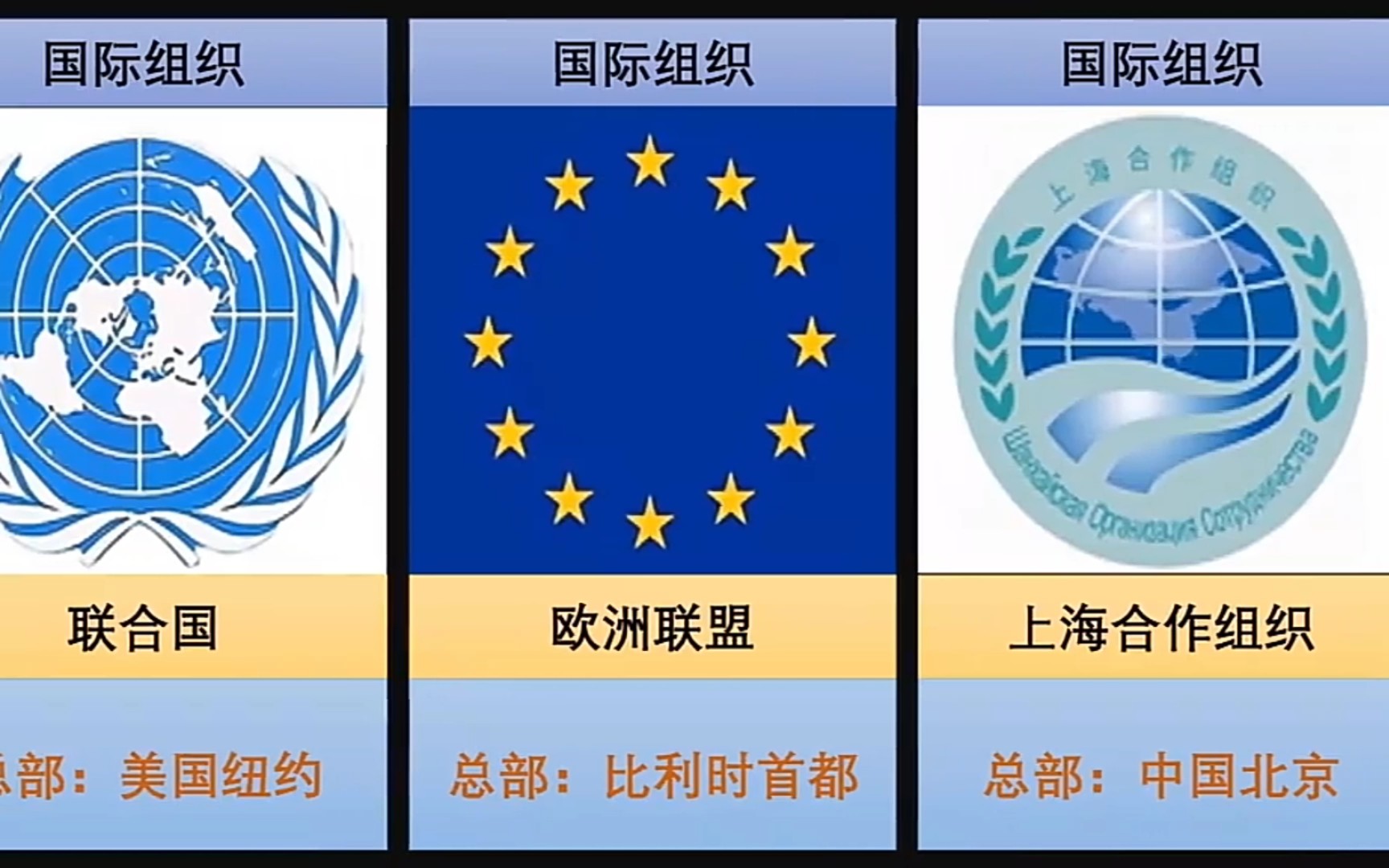 世界十大国际组织