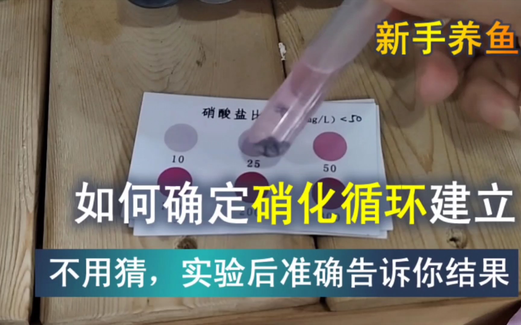 开缸后,如何直观判断水中的硝化循环完全建立了,用实验准确的告诉你结果哔哩哔哩bilibili