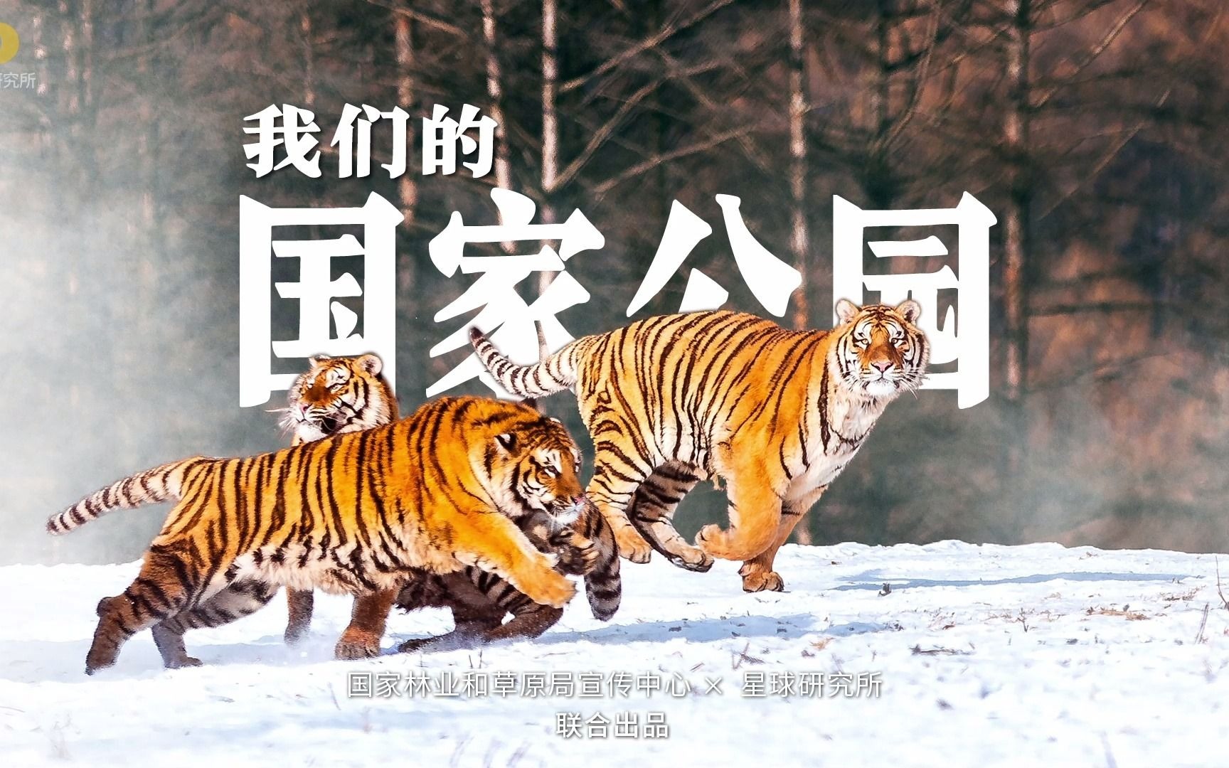 这，是我们的国家公园！