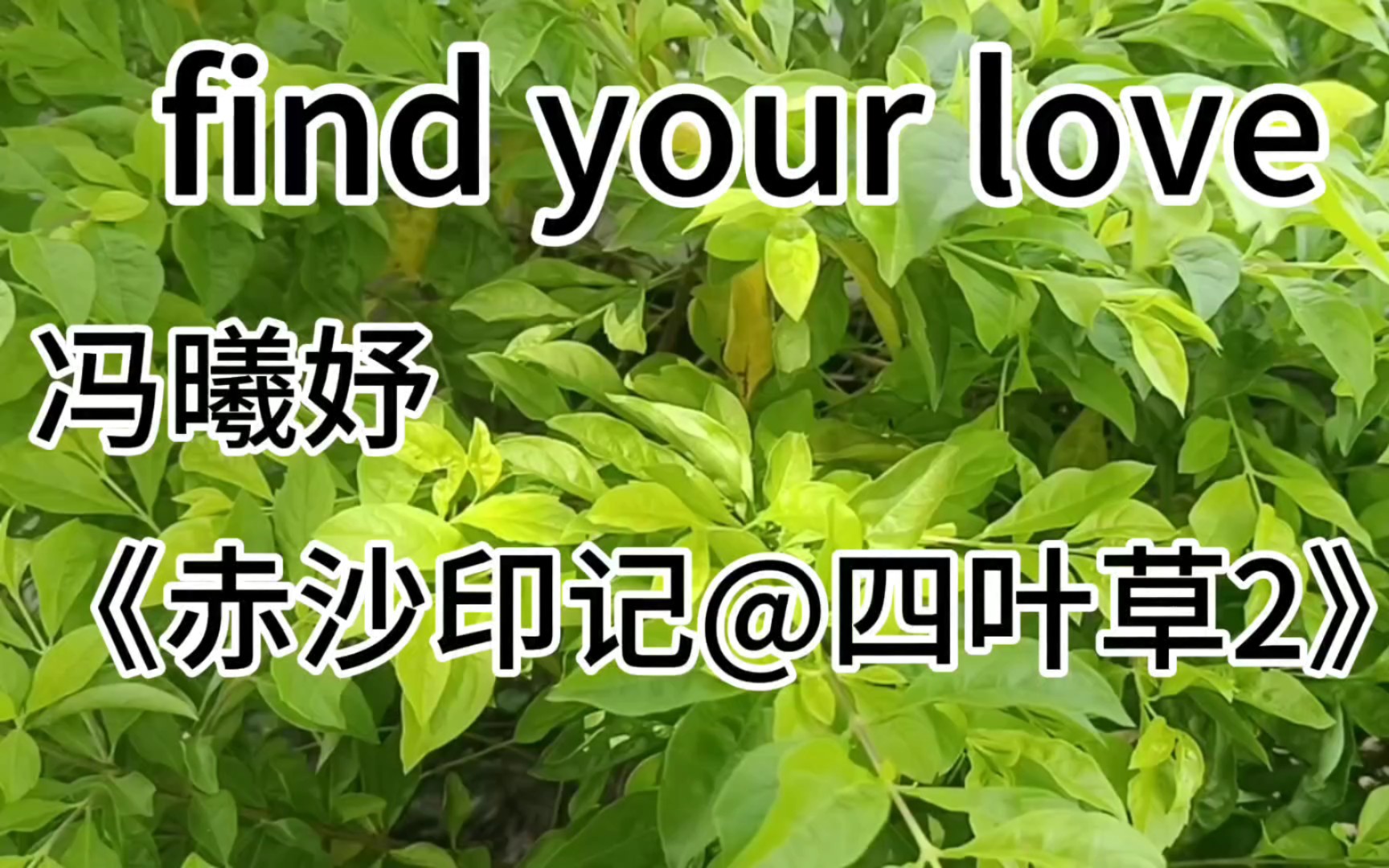 [图]冯曦妤——find your love《赤沙印记@四叶草2》主题曲