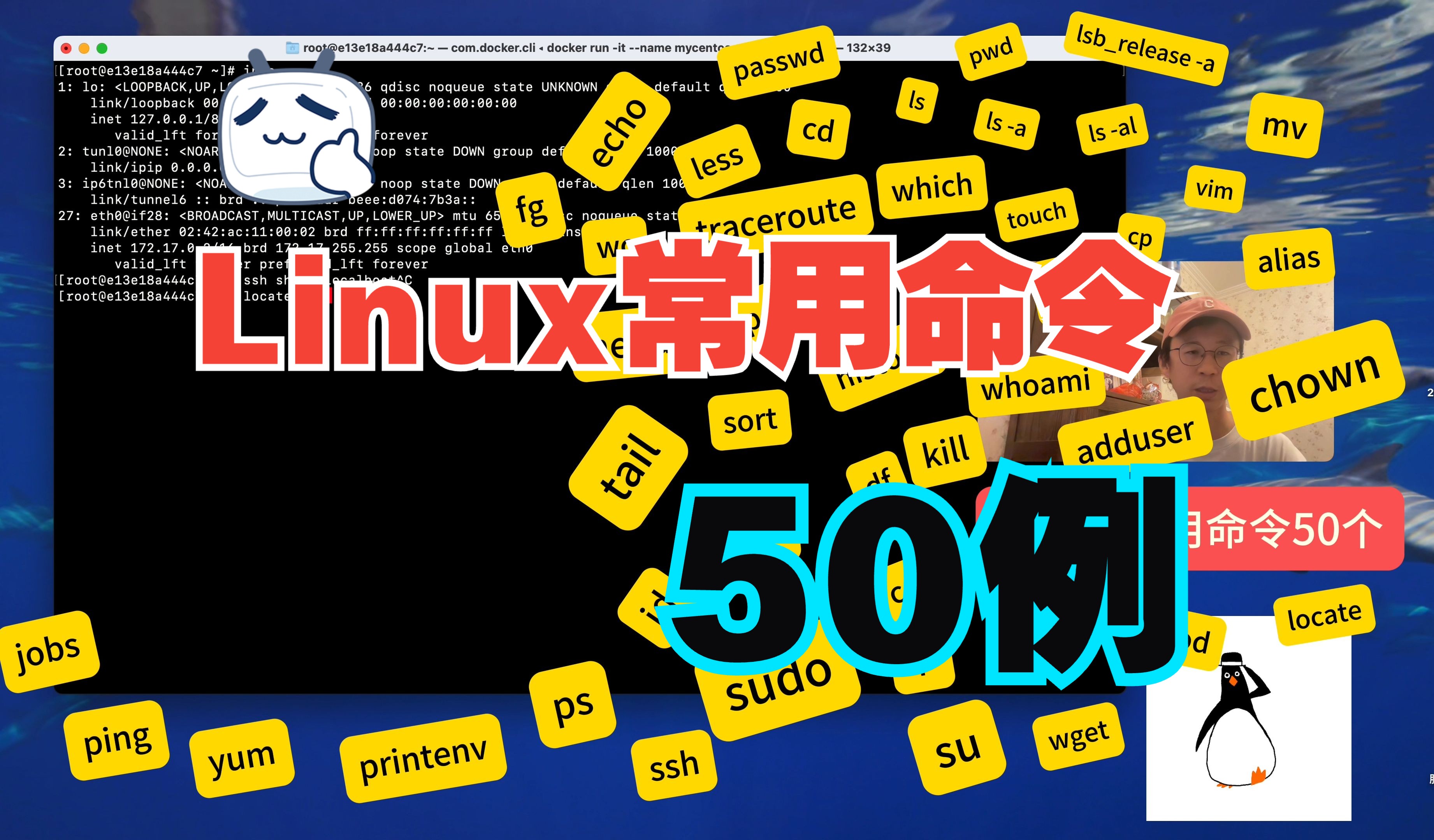 系统Linux常用命令50例哔哩哔哩bilibili