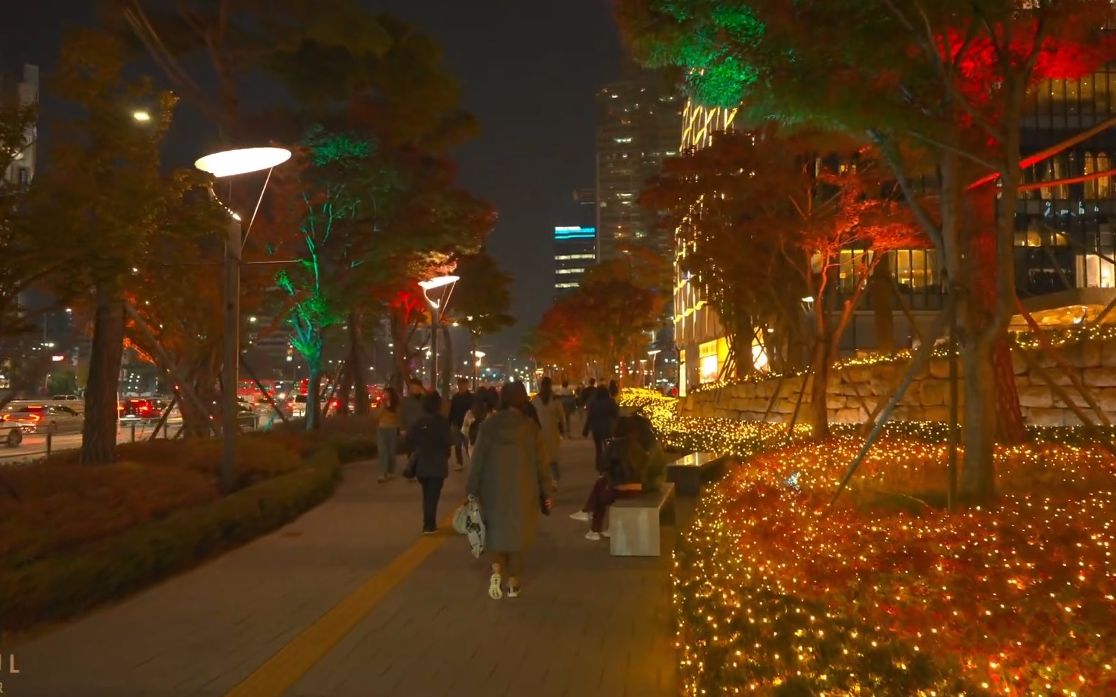 [图]【超清韩国】漫步秋季夜晚的首尔蚕室区圣诞节彩灯 (1080P高清版) 2022.11