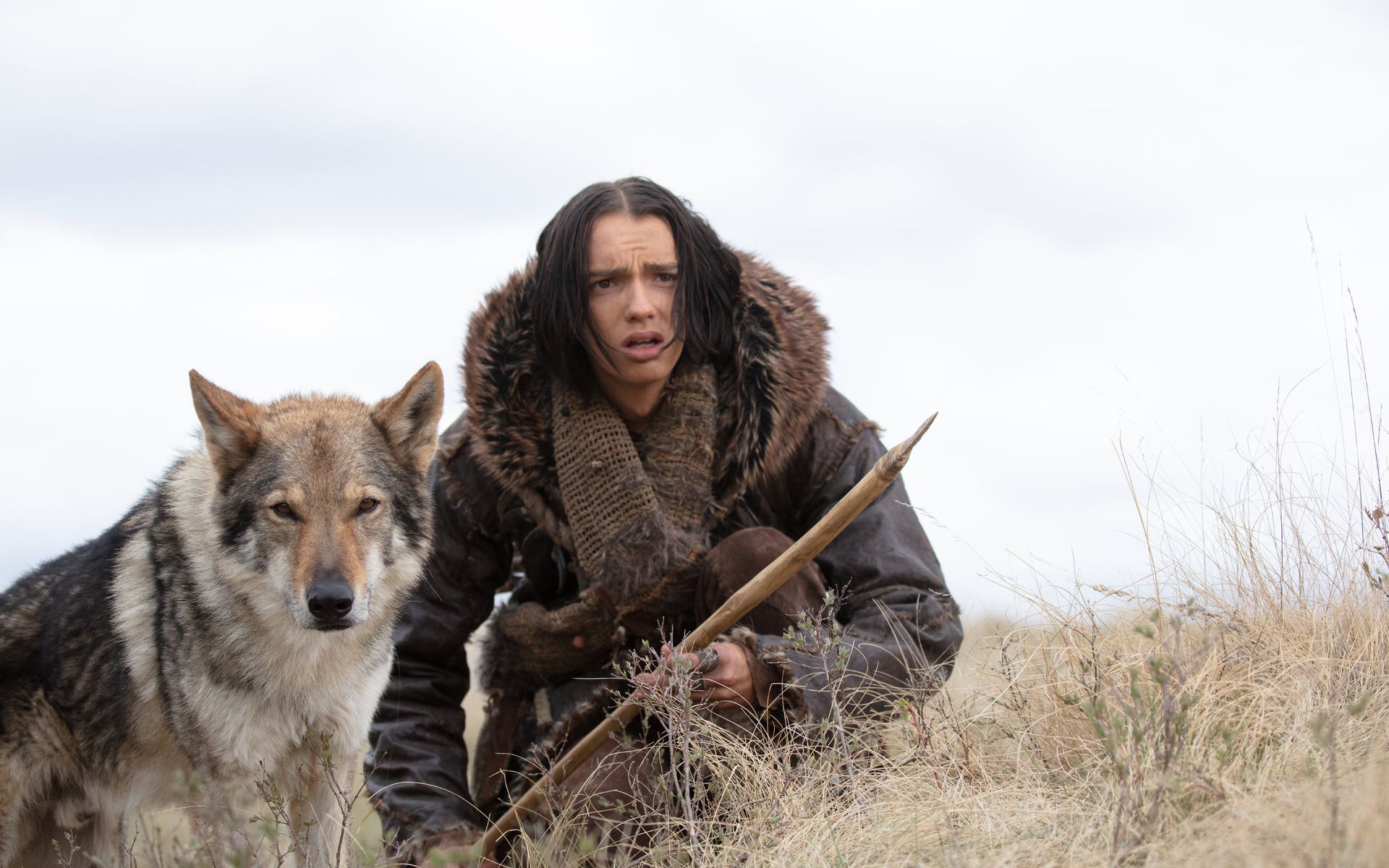 伪装成风光片儿的超级英雄电影一人一狼走天下阿尔法狼伴归途