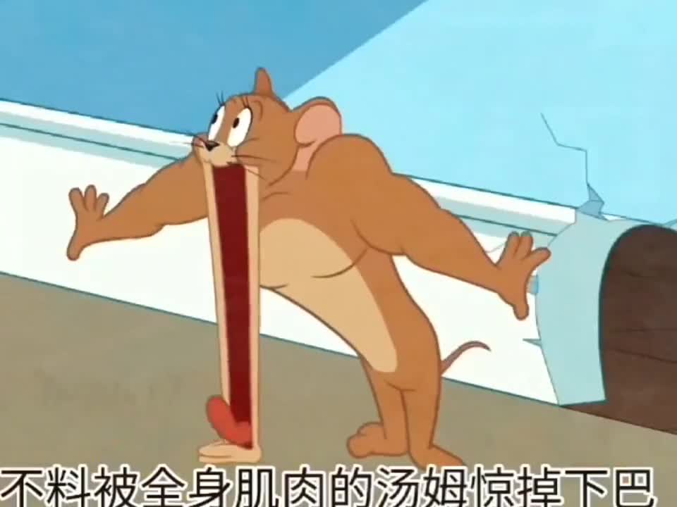 脱胎换骨的汤姆去找杰瑞报仇,展开#肌肉大战最后却被大表哥ko#动画