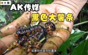 Download Video: 越南黑色大薯条，吃完这辈子忘不掉