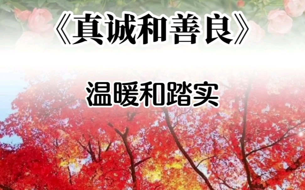 生活系 72 真诚和善良才能感召佛光,并最终修成正果.