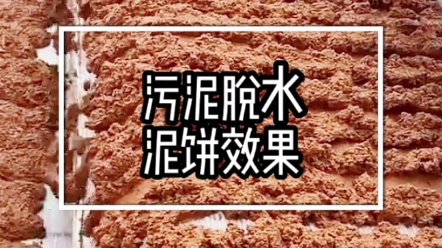 带式污泥压滤机泥饼直接运输