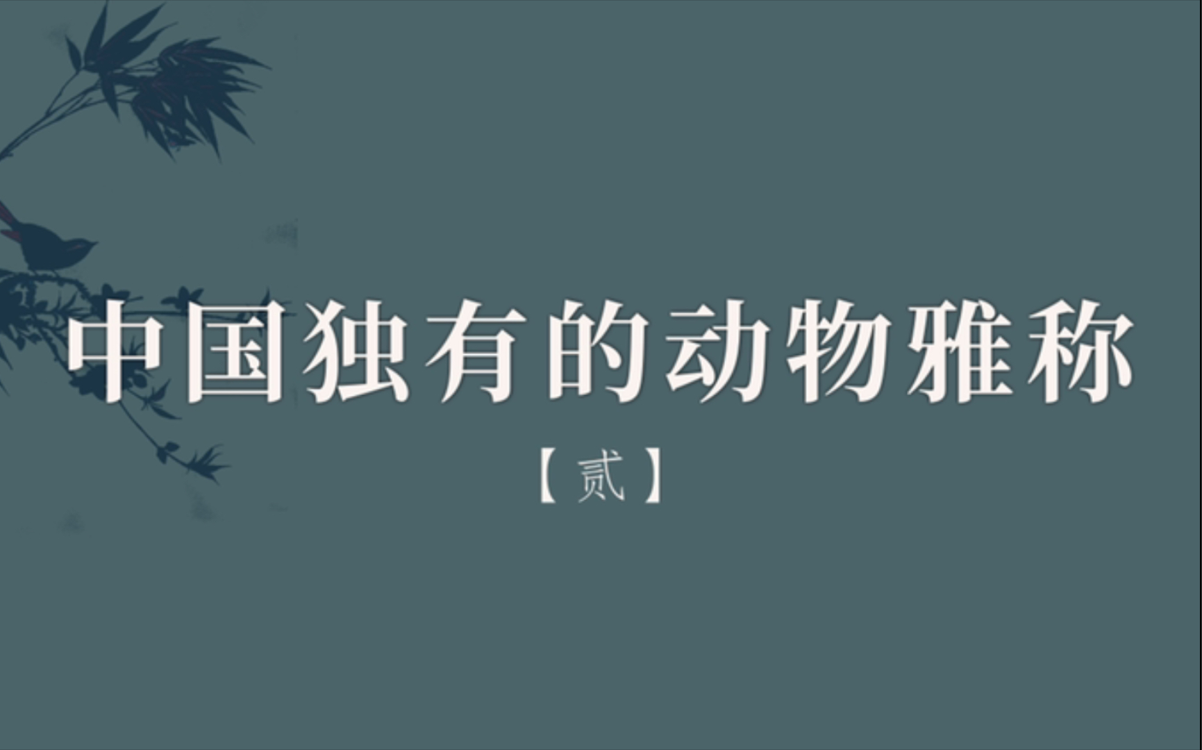 【中国传统文化之美】盘点那些中国独有的动物雅称 /别称(第二期)哔哩哔哩bilibili