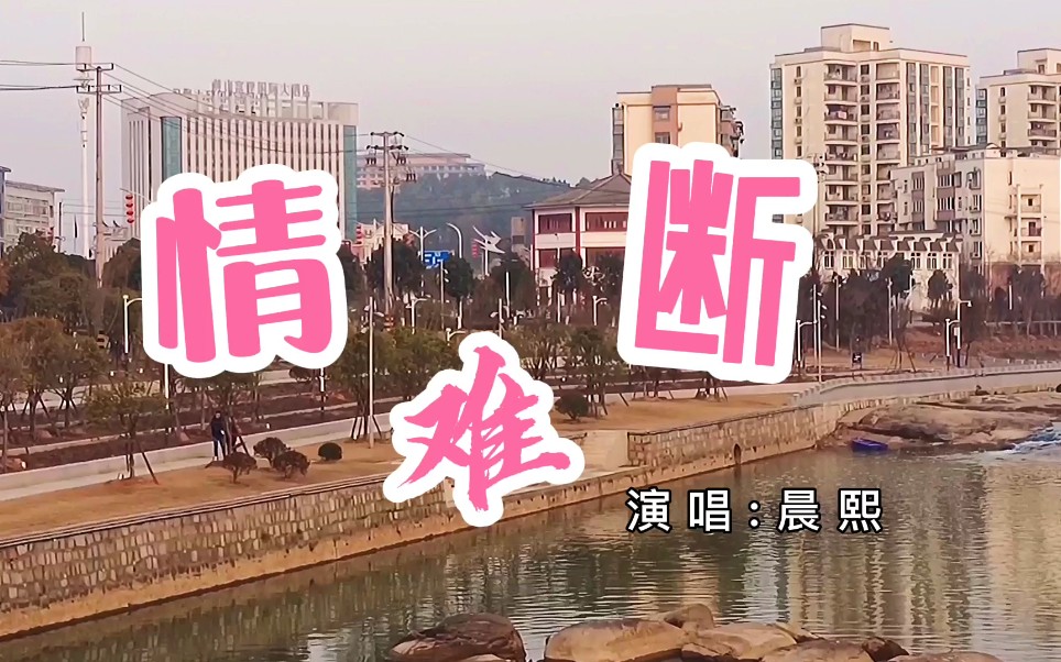 一夜火遍全网《情难断》歌声令人感动,歌词让人心碎