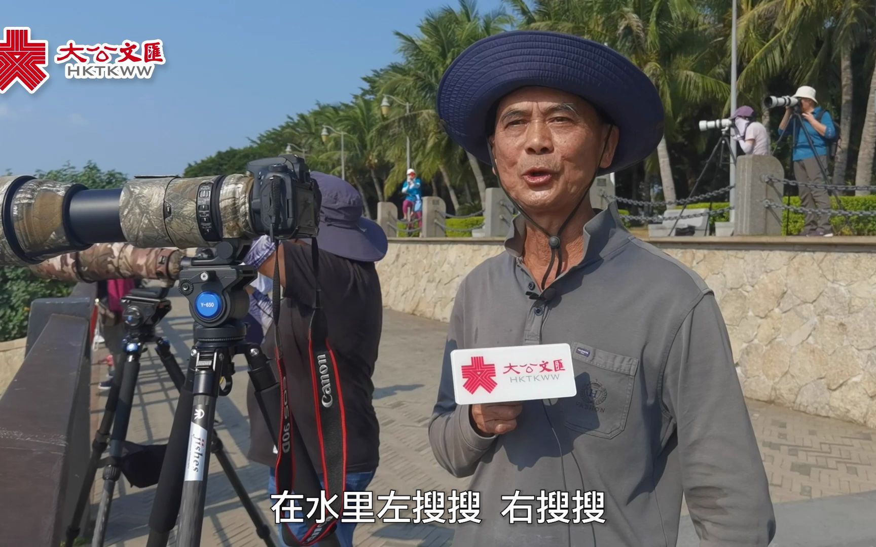 [图]首批「黑面天使」南飛過冬 深圳灣迎候鳥遷徙高峰