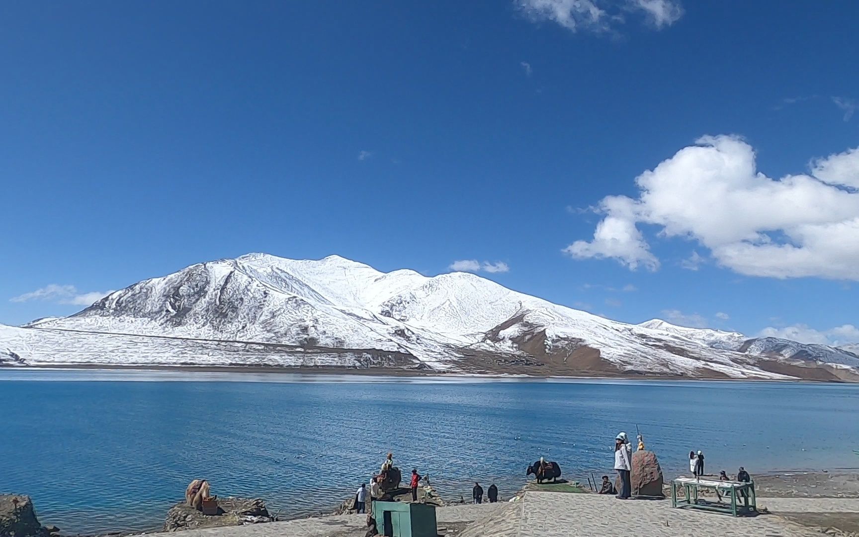 羊卓雍措配雪山最是美丽
