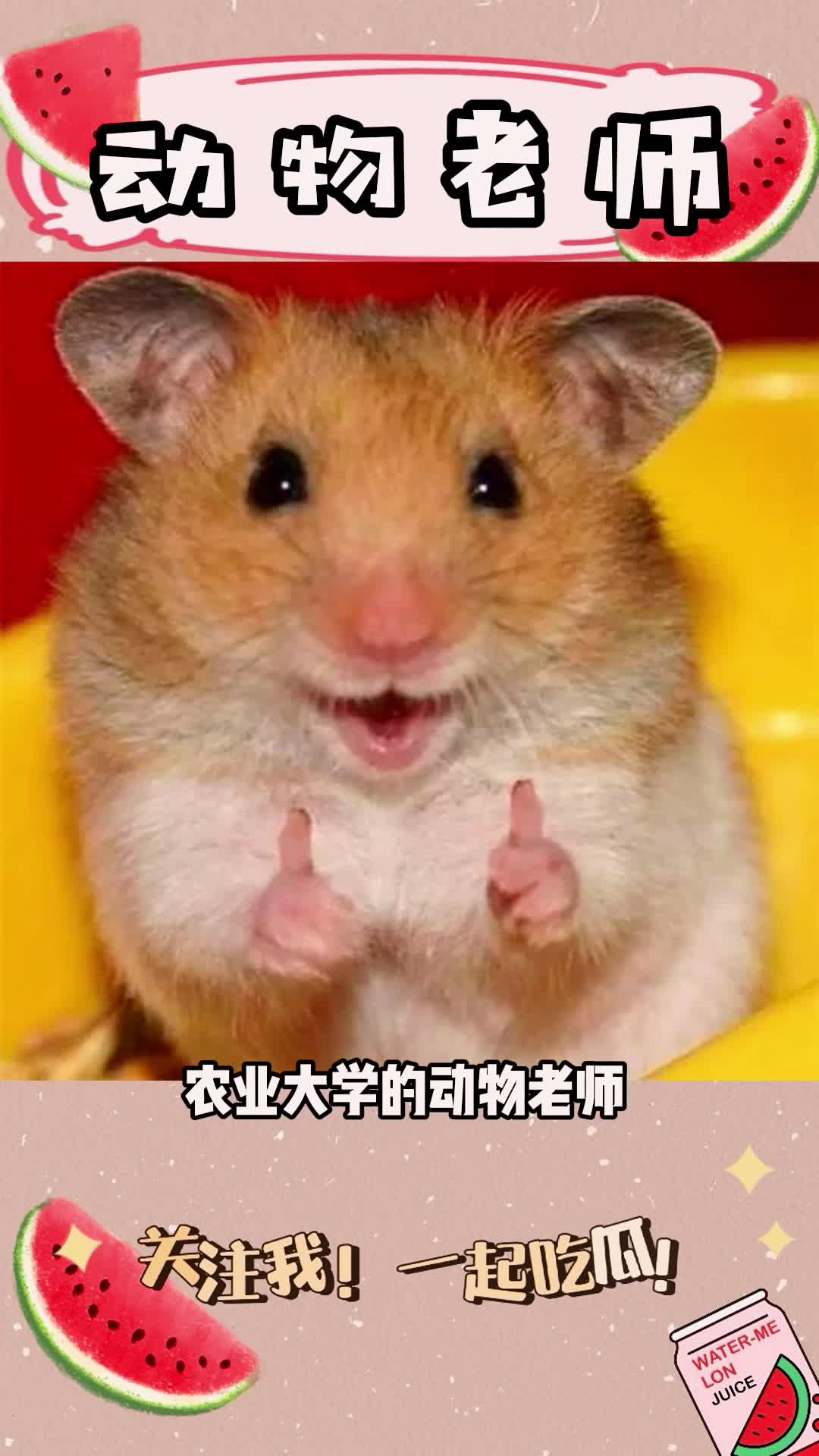农业大学的动物老师!我也想拥有