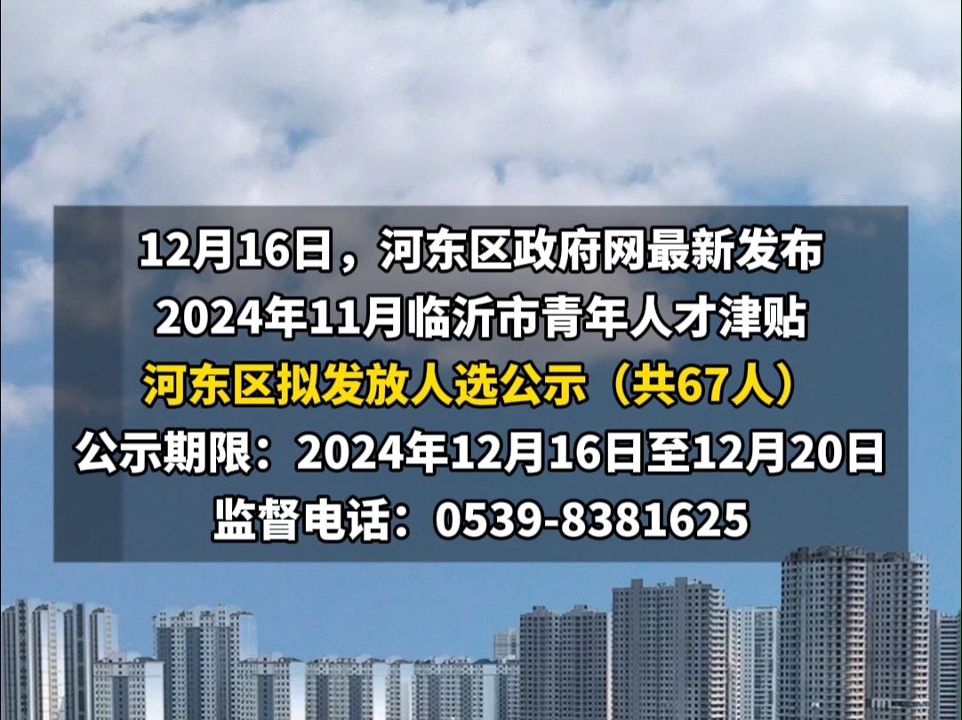 河东区政府网最新发布2024年11月临沂市青年人才津贴河东区拟发放人选公示哔哩哔哩bilibili