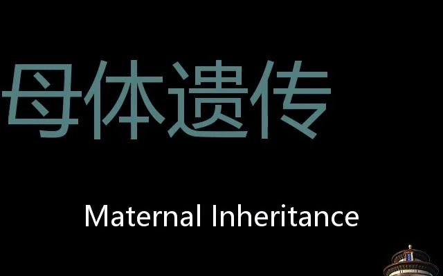 [图]母体遗传 Chinese Pronunciation Maternal inheritance