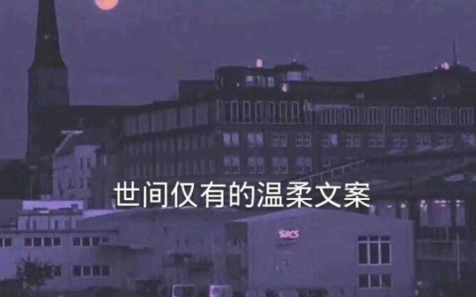 世间仅有的温柔文案❤哔哩哔哩bilibili