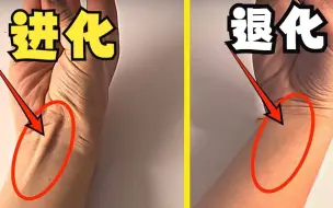 Tải video: 人类史上最没用的愚蠢肉体进化你中了几个